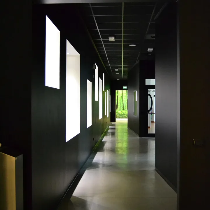 Palestra MOSS 270